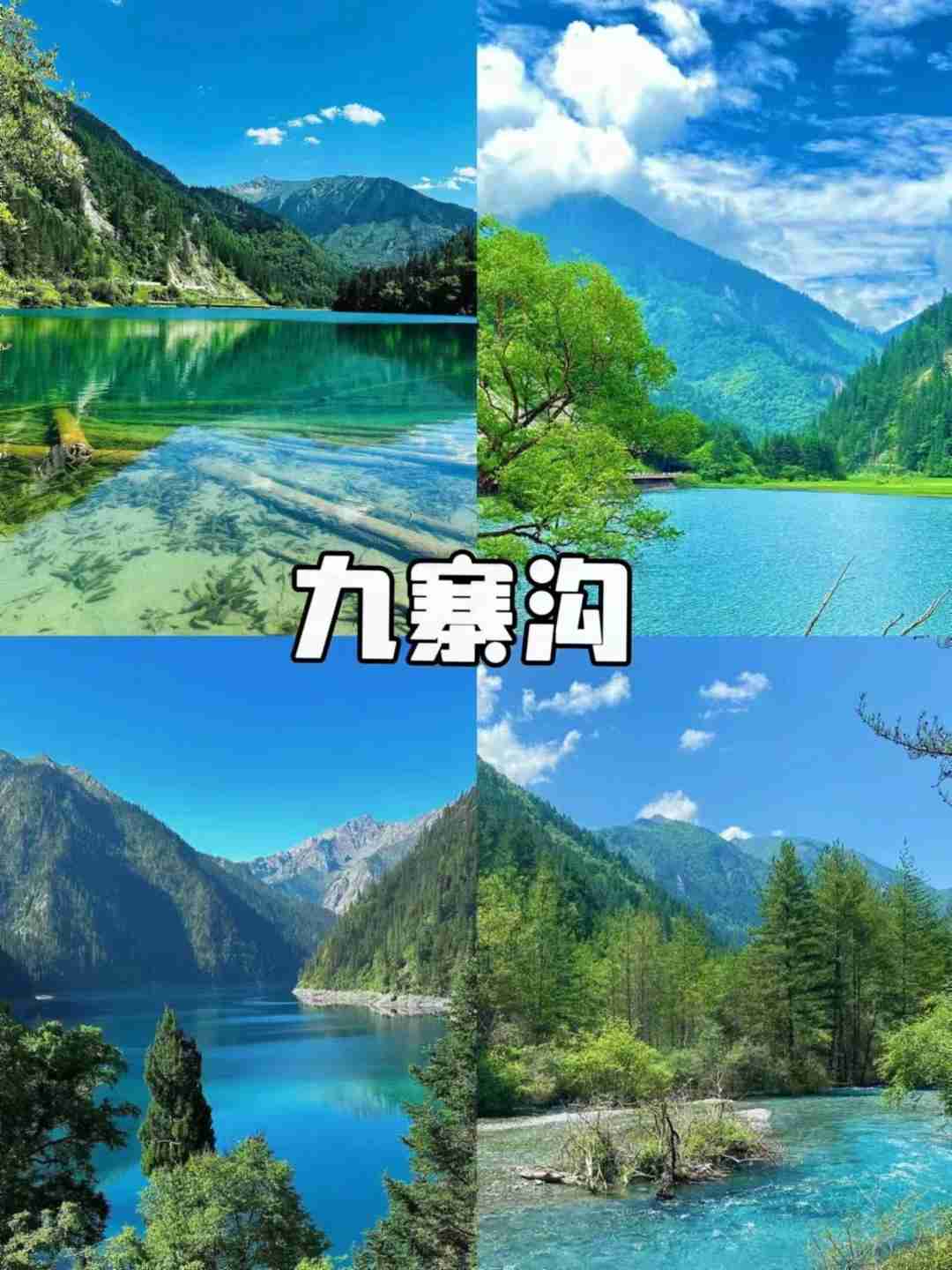 计划去四川九寨沟+稻城亚丁旅行,如何规划景点路线？第一次去有哪些景区必去游玩？游玩攻略、酒店、门票如何预定,去过的推荐一下详细图文版旅游攻略 ...